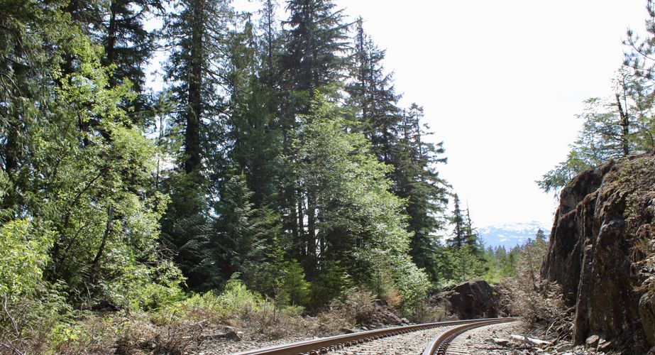 28 38 Canada 67 28 38 Canada 67